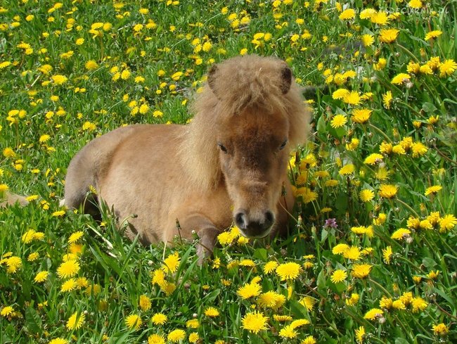 Najpiękniejsze na świecie.......