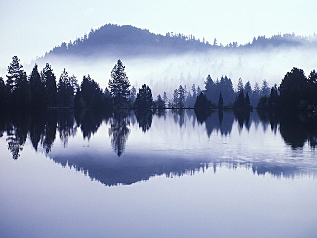 XXXXXXXXXXXXXXXXXXXXXXXXXXXXXXXXXXX