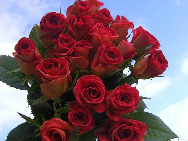 Życzenia Urodzinowe dla kochanej Przyjaciólki!!!!