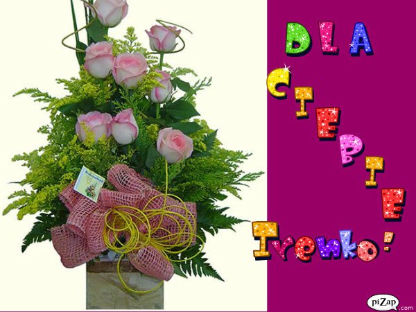 ...BO  ZYJE SIE  RAZ ...