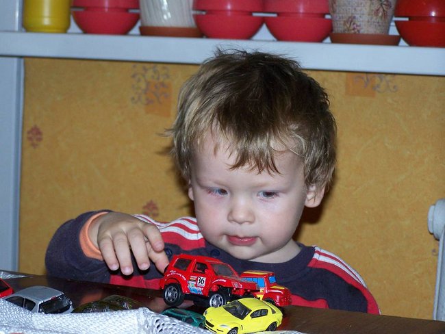 Dominik 2009