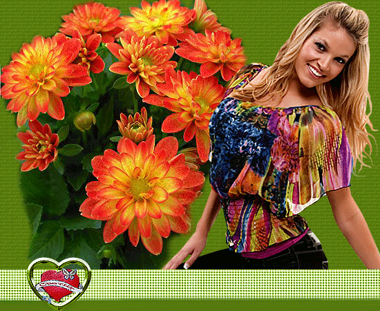 UROK,POWAB,CZAR,,,,,,,,,,