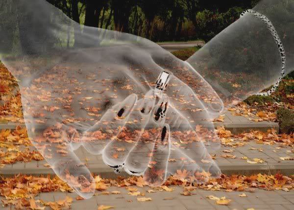 DLA MOICH PRZYJACIÓŁ Z N/K