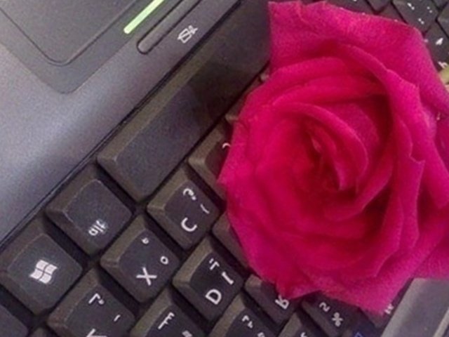 STACHURSKI -TYP NIEPOKORNY..