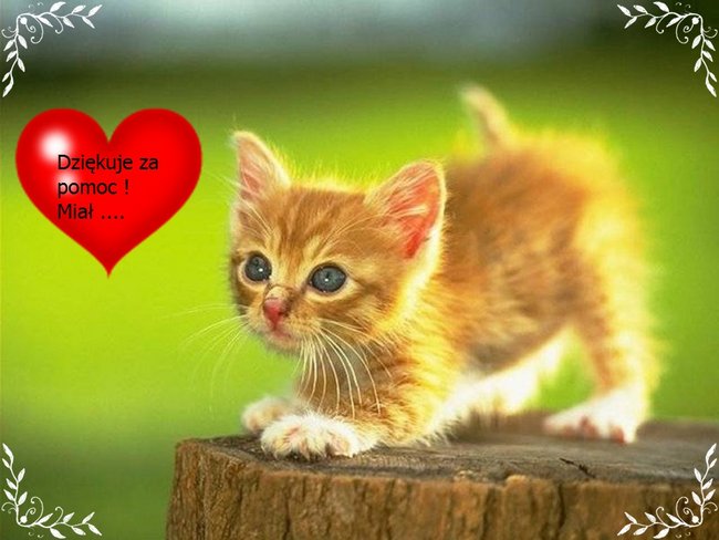 Dla Adama999 od Ewa--Jagoda