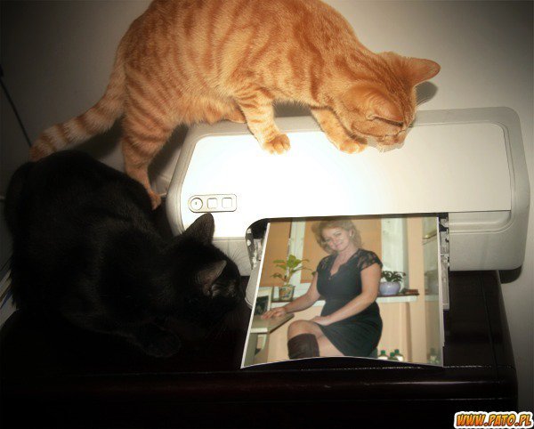 DZIĘKUJĘ KOCHANI ZA ŻYCZENIA;)