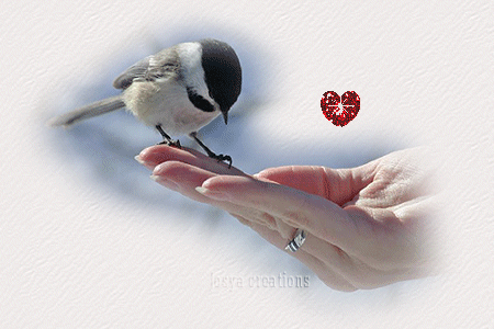 Szczęście siostrzyczki