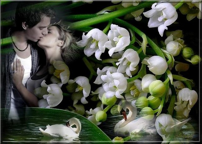 POZDRAWIAM TERESA,,,