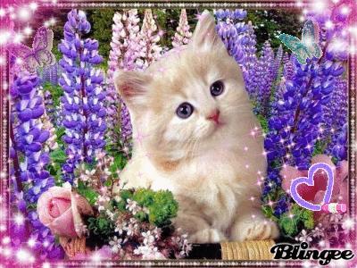 JEDNO JEST NIEBO DLA WSZYSTKICH