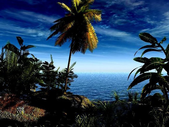 Pokochaj moje marzenia.