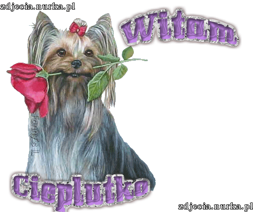 FBI POZDRAWIA CIEPLUTKO