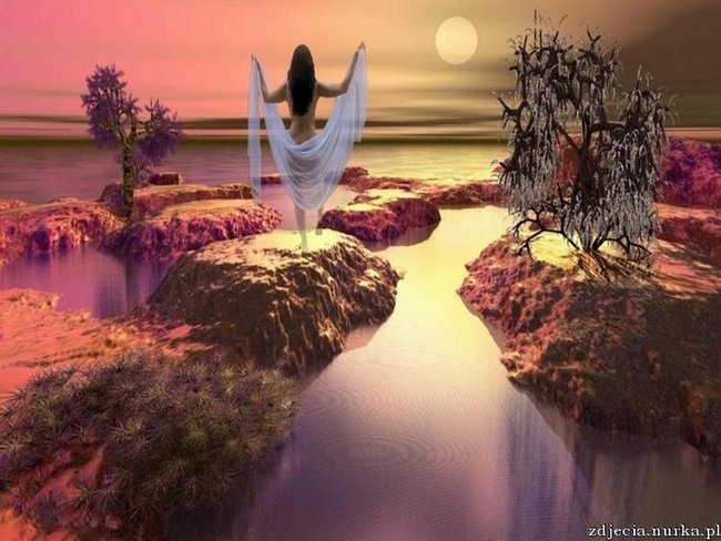 PALOMA,...PALOMA....