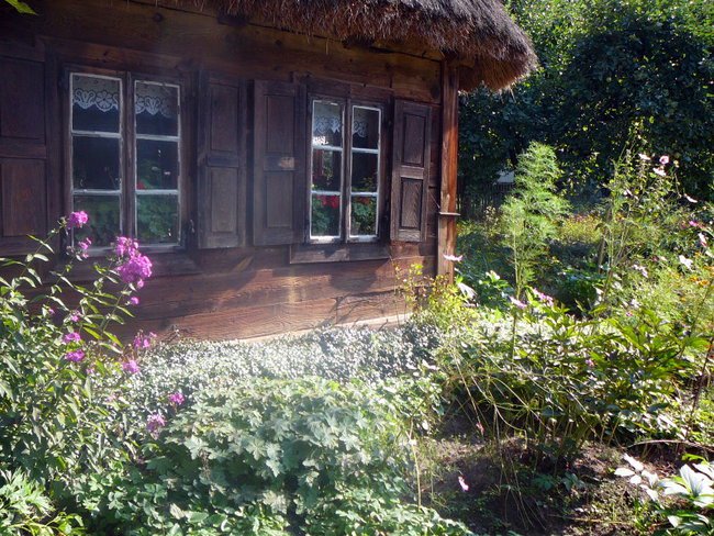 Wiosenne oczekiwania.......