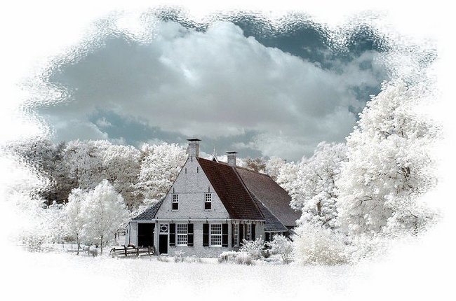 Moi Przyjaciele z NK.........