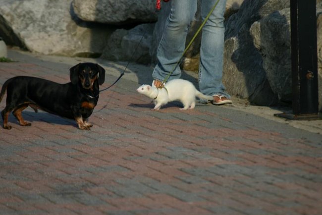 Z aparatem fotograficznym przy moim oku...