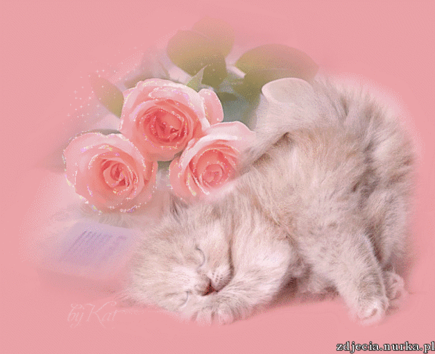 Kolysanka dla Okruszka.