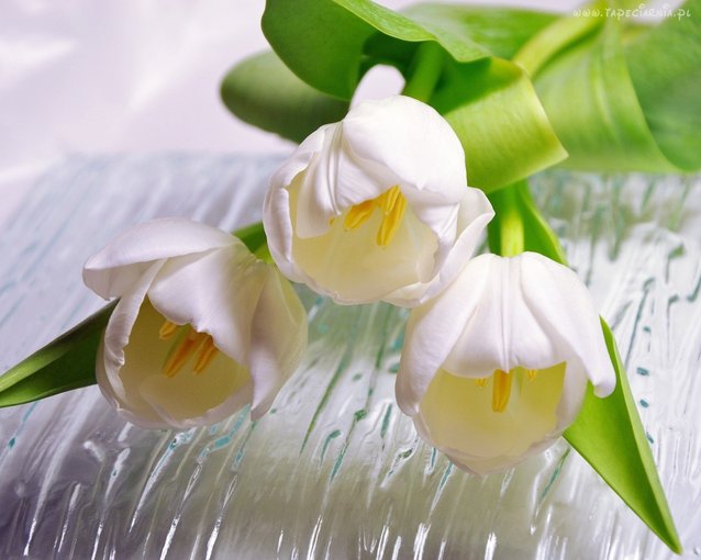 ***DLA BEATKI...MOJEJ ZAWSZE UŚMIECHNIĘTEJ KOLEŻANKI***