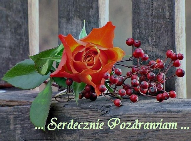 Słyszysz jak wiatr życzenia niesie