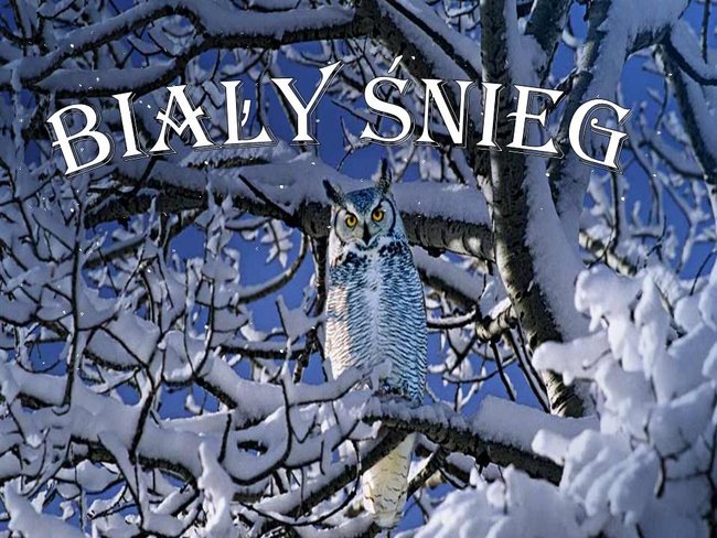 Biały śnieg....
