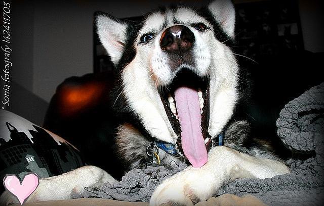 Dla ciebie Maksiu. < 33