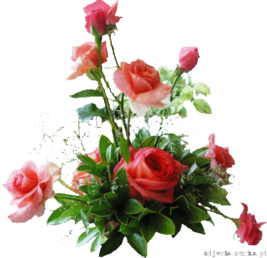 Dlaczego nigdy nie można mieć