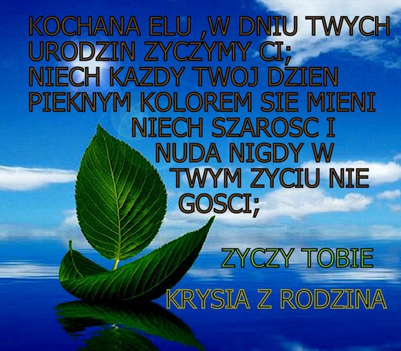 Elu w dniu Twoich urodzin