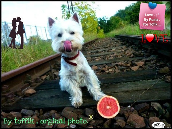 Skarbie , kocham cie Tofik .!