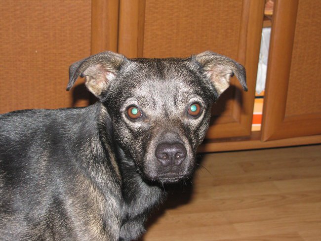 MOJE WAKACJE NAD MORZEM U MOJEJ SIOSTRY