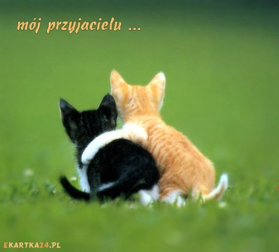 DLA CIECIE DANUSIU< ZA TWOJE  WIELKIE SERCE ...