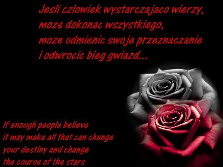 PŁACZĄ  CZERWONE  RÓŻE