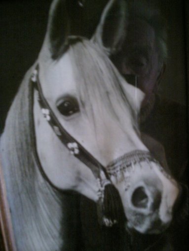 gdzie sie podziały te czasy