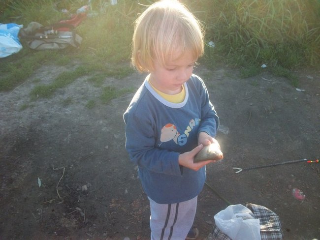 ALFRED TOMICZEK STYCZEŃ 28 2012.R  ZAMOŚĆ