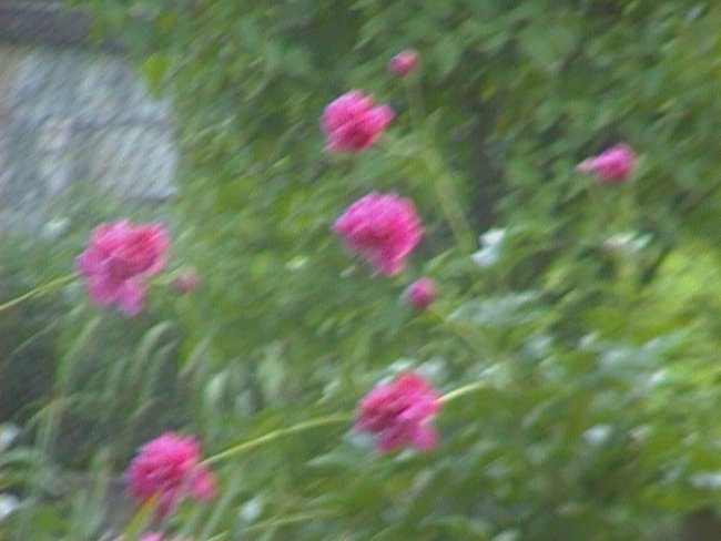 jak dobrze że jesteście