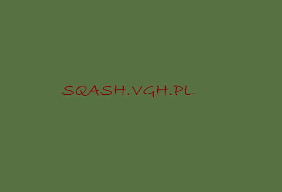 www.sqash.vgh.pl