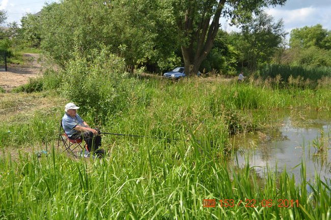 Alfred Tomiczek Zamość 29 styczeń 2012.rrybki i grzybki