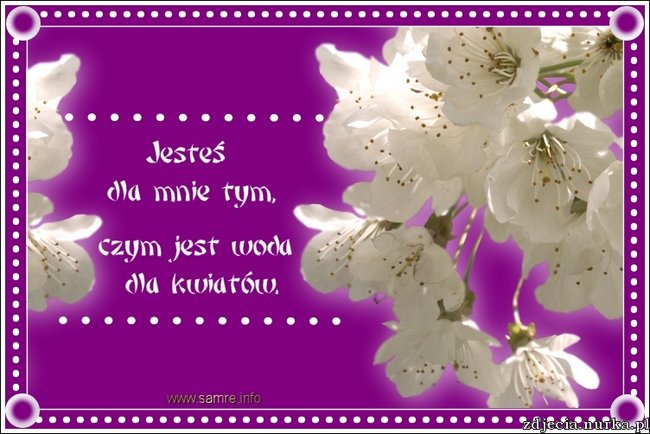 Z pbytu w Chrzanowie u mojej przyjaciółki Stasi..