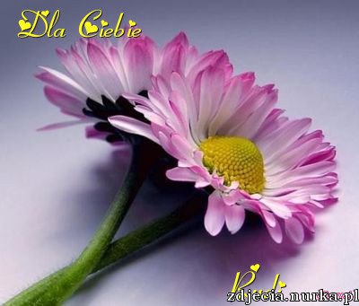 ##   Dla   Najwspanialszych  Przyjaciol  z   NK ##   Pozdrawiam   was  serdecznie  ##