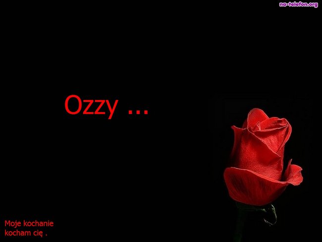 kocham cię Ozzy .