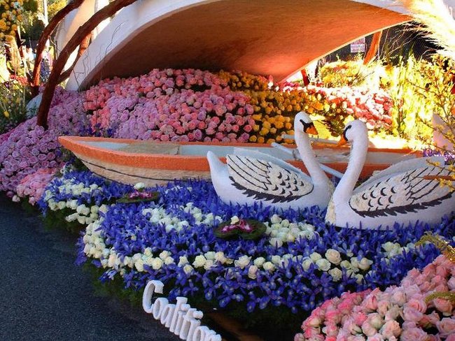 PRZYJACIÓŁKI  Z NK