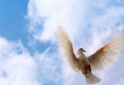 Radość zycia.......