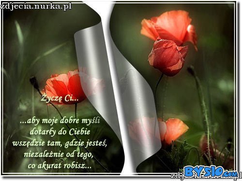 Skarby ukryte w morzu