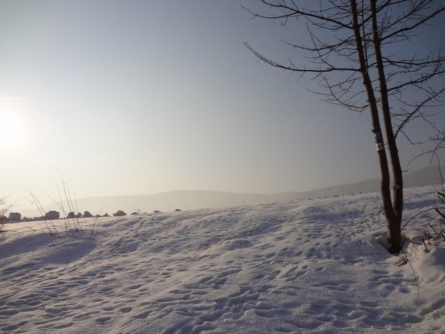 Pobielone szlaki w Beskidach:-)))