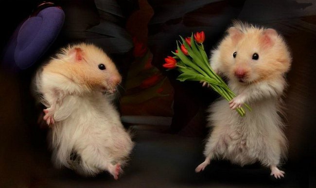 Fiku miku i mamy slajdzik :)