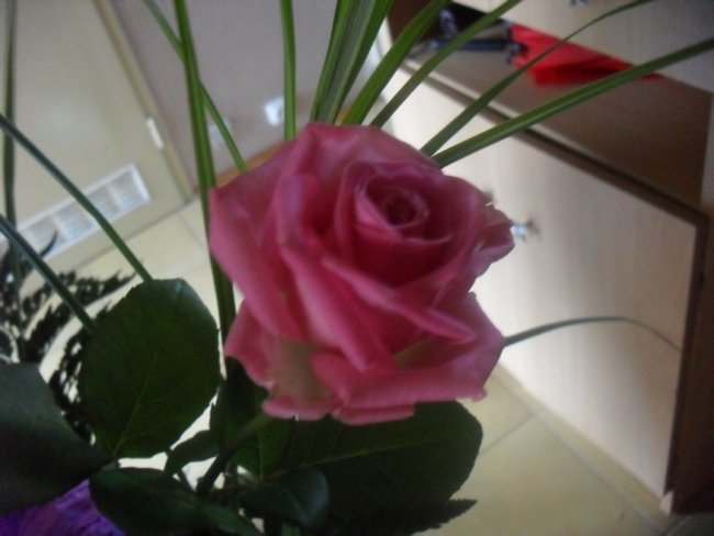 Z całego serca życzę CI ......