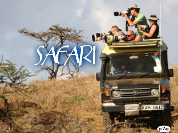 SAFARI