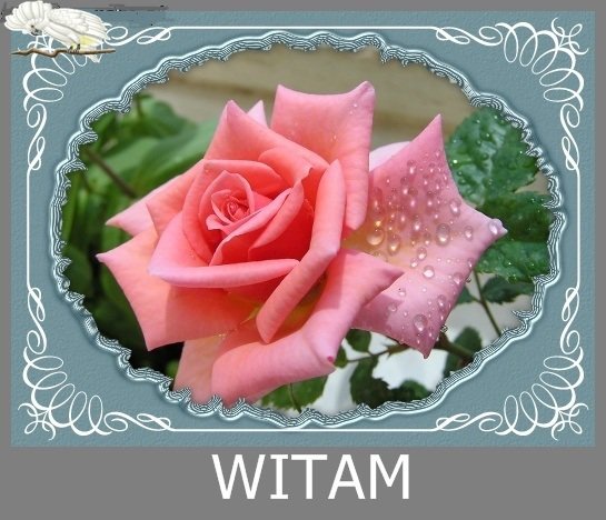 DLA    ZENKA     ZA     PRZYJAŹŃ