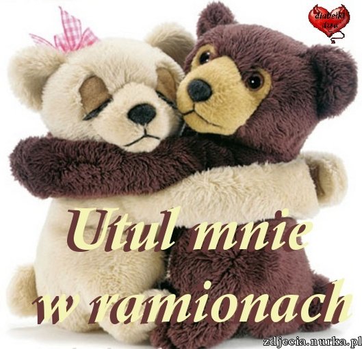 PIĘKNE SĄ TYLKO CHWILE