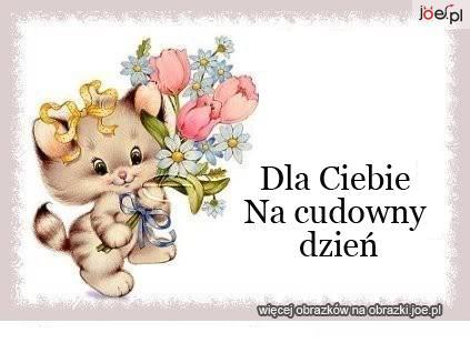 NINECZKO  zwolnij bieg... JF 40