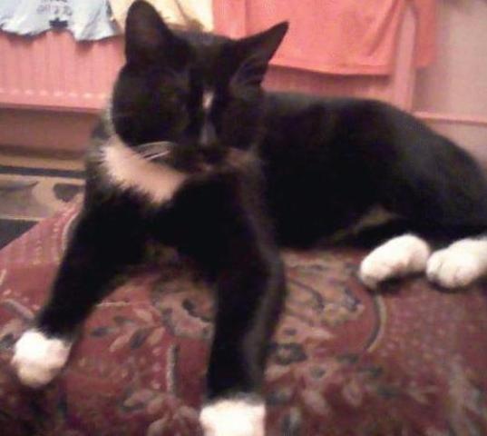 DO SERCA  PRZYTUL  PSA...