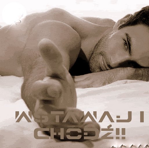 MIŁOŚĆ DZIKOŚĆ MEGO SERCA